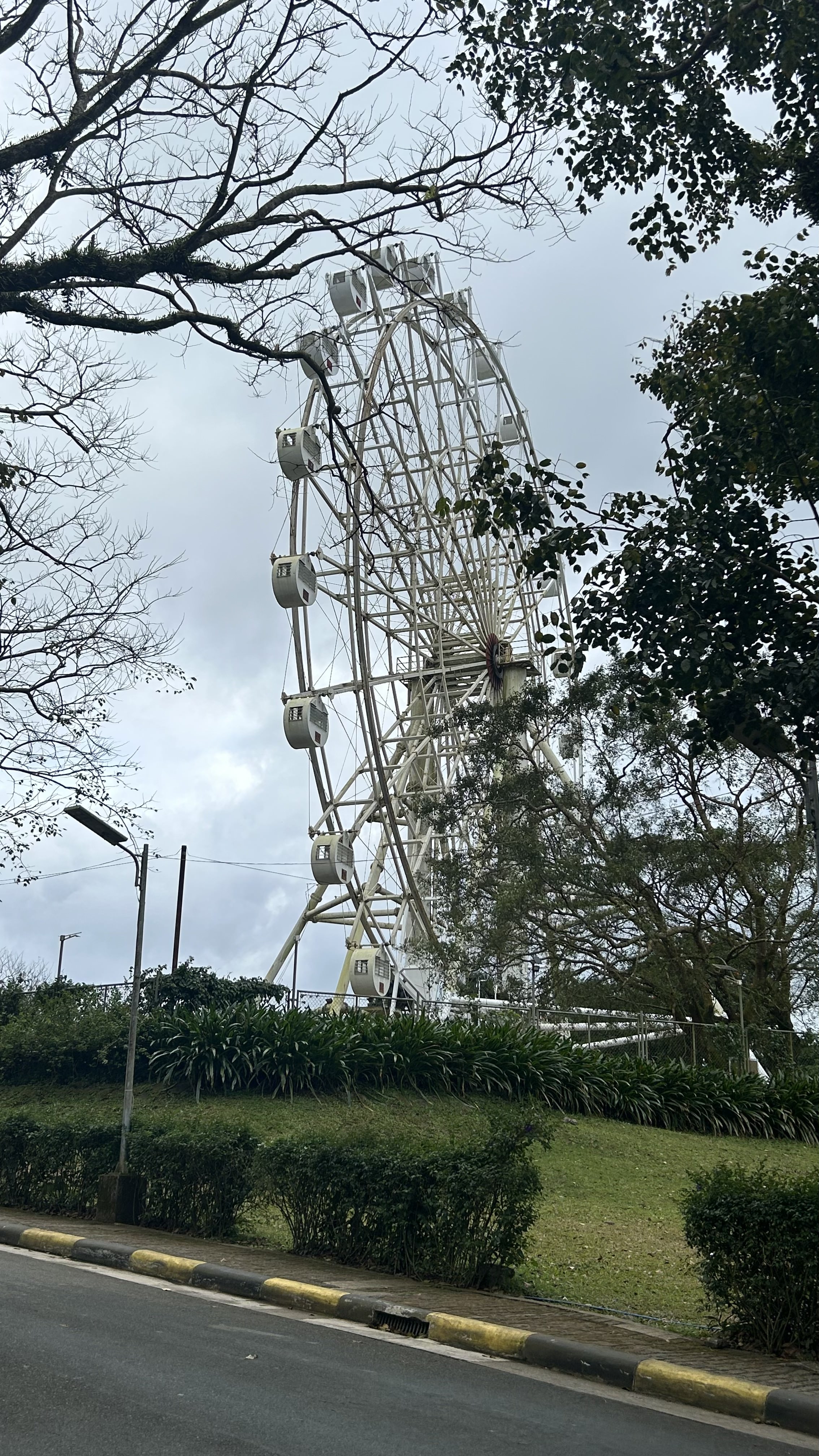 Ferris Wheel Afternoon